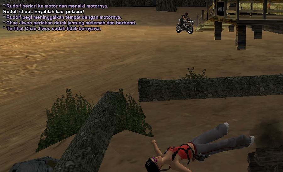 ssrp13.png