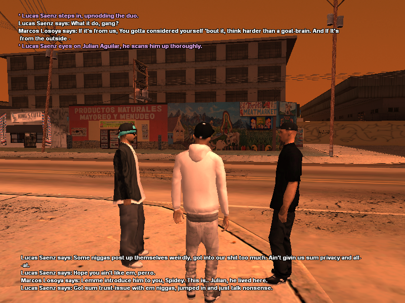 samp_08_03_2026_20_55_18.png