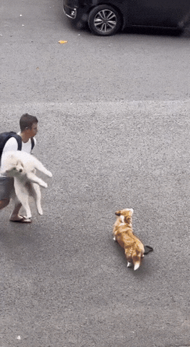 Картинка загружается...