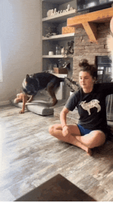 Картинка загружается...