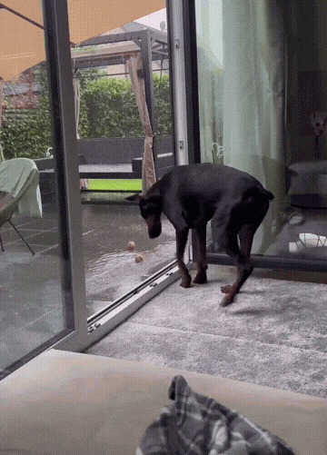 Картинка загружается...