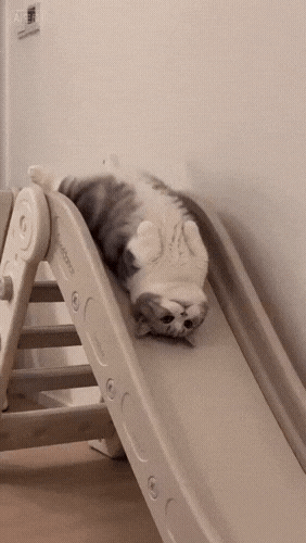 Картинка загружается...