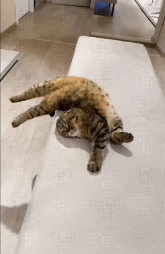 Картинка загружается...