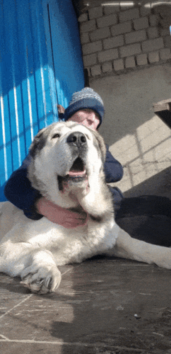 Картинка загружается...