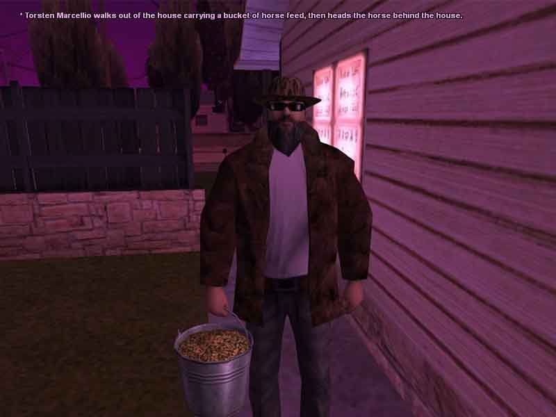 feed1.jpg