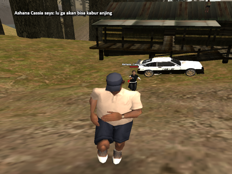 ck_13.png