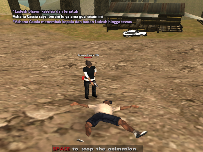 ck_14.png