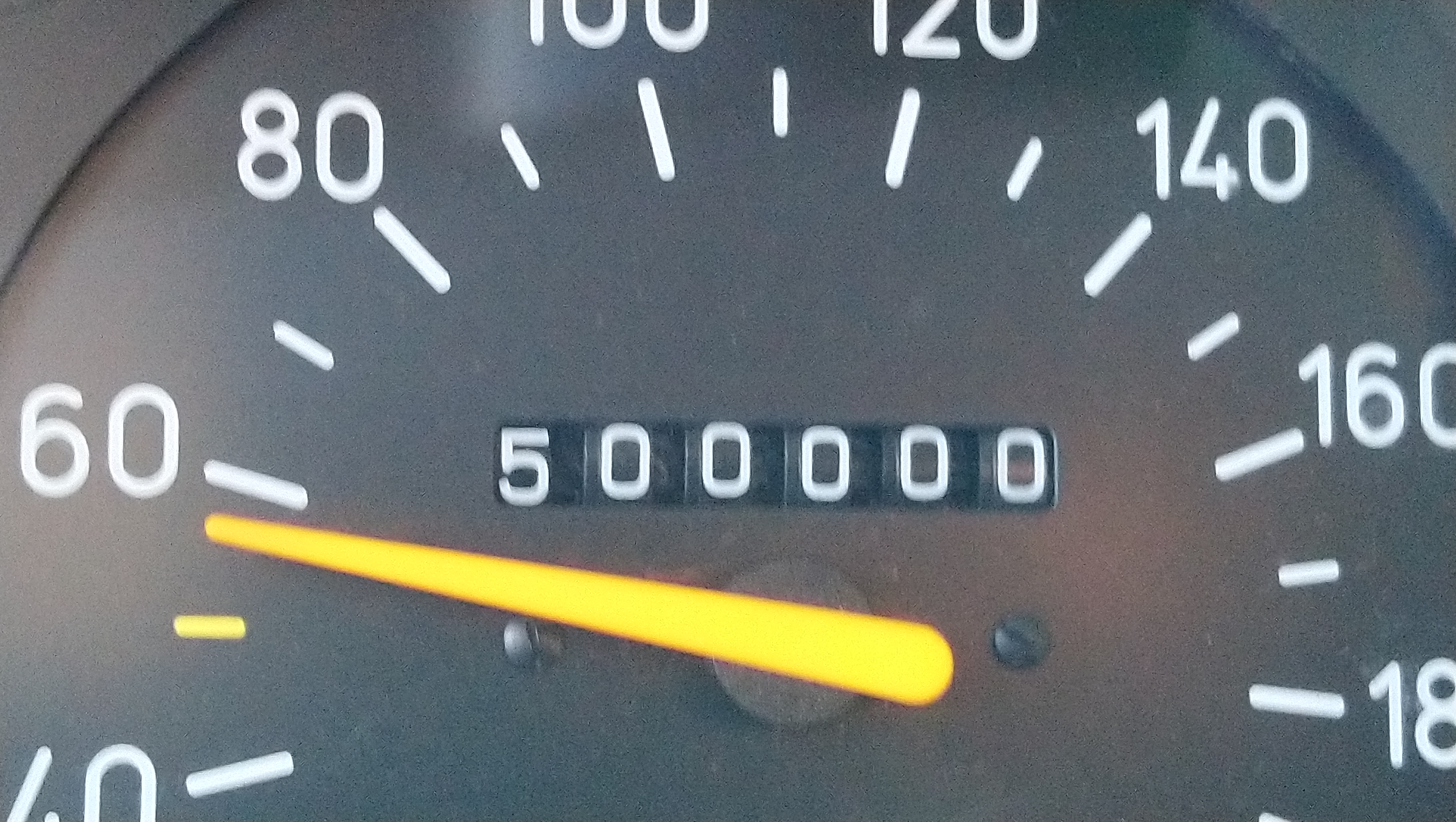 Pilt
