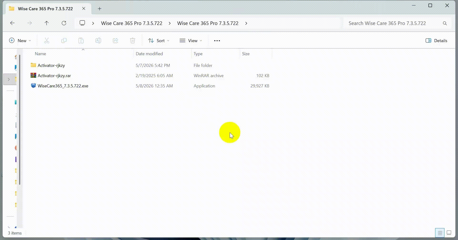 WiseCare365Pro.gif
