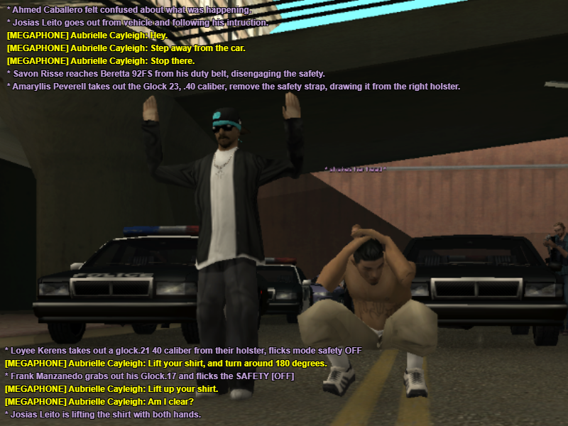 ssrp6.png