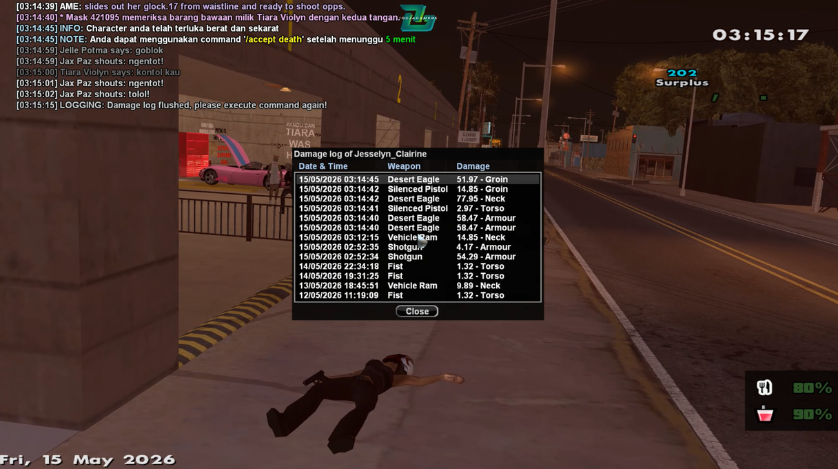 damagelog1.png