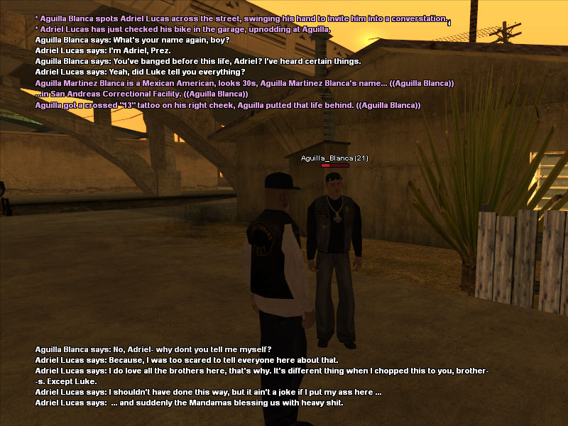 samp_10_06_2026_21_03_02.jpg