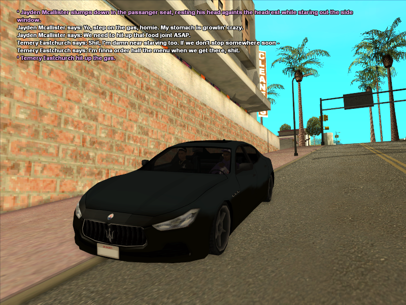 ss13.png