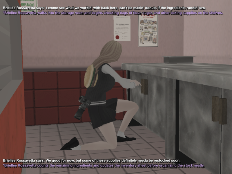 Rohiimatt-SSRP.png