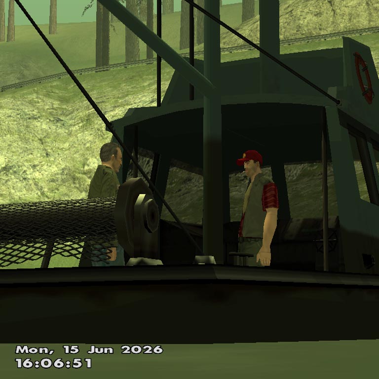 samp_15_06_2026_01_03_19.jpg