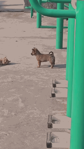 Картинка загружается...