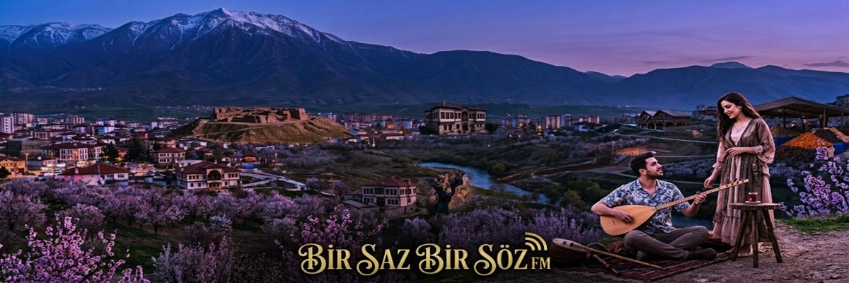 Alt Banner