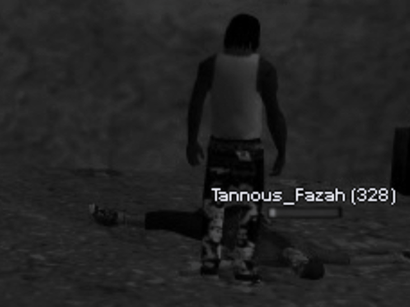 fl5.png
