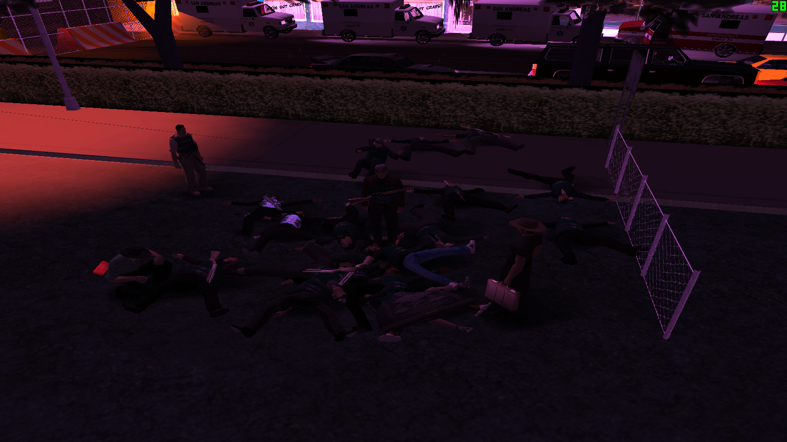 samp_28_06_2026_23_46_16.png