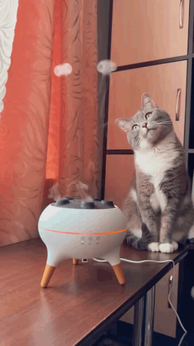 Картинка загружается...