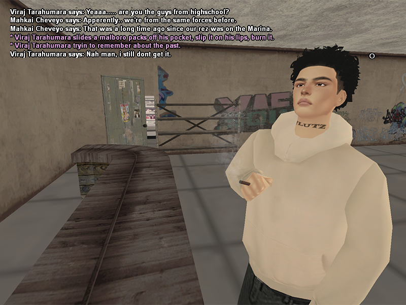ss4.png