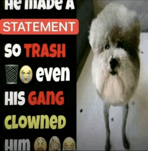 he-made-a-statement-so-trash-statement.p