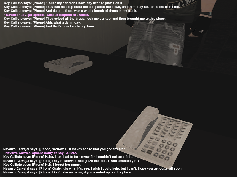 SSRP_JAIL_2.png