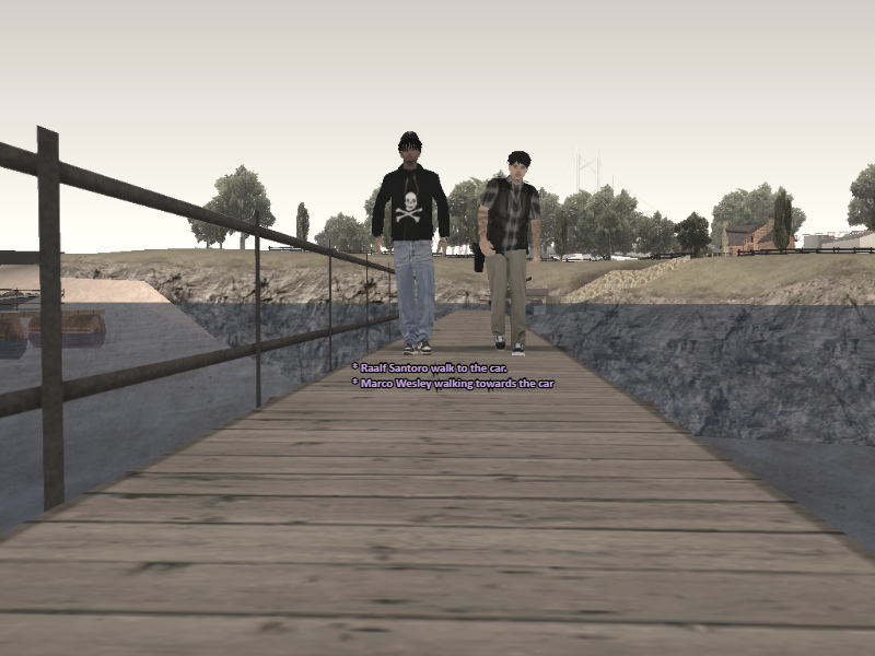 Viara_SSRP_011.png