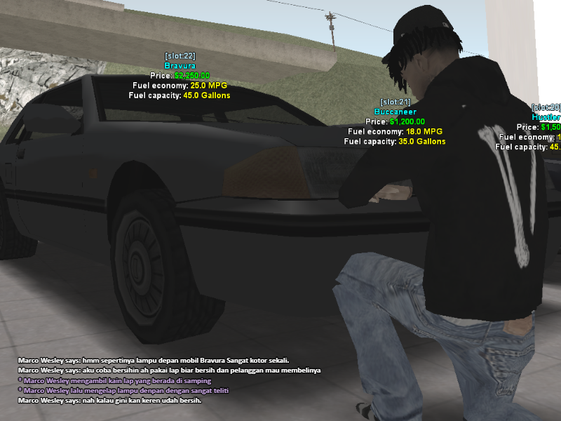 Viara_SSRP_002.png