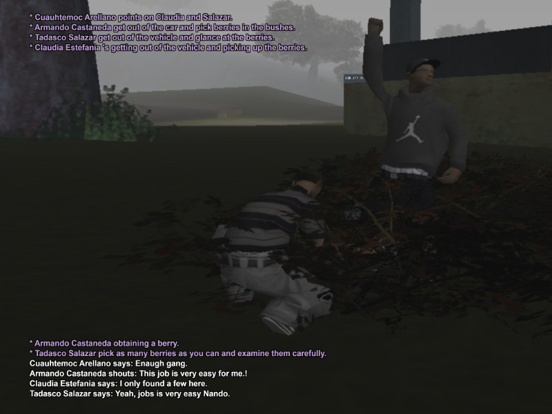 SSRP_3.png