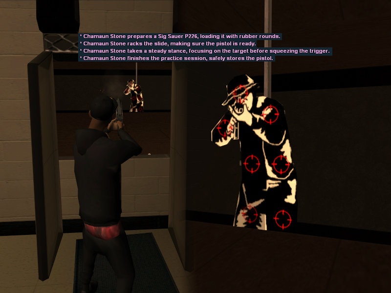 ss8.png