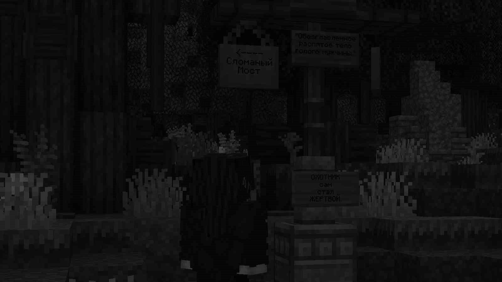 forest2.jpg