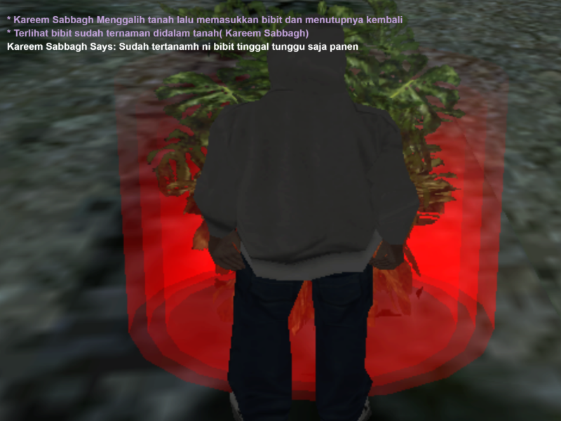 Rohiimatt-SSRP__1_.png