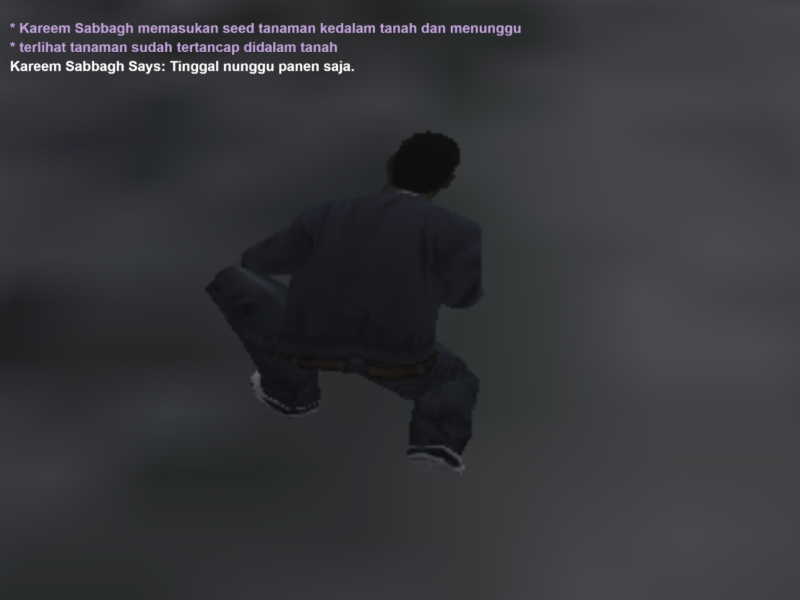 Rohiimatt-SSRP__1_.png