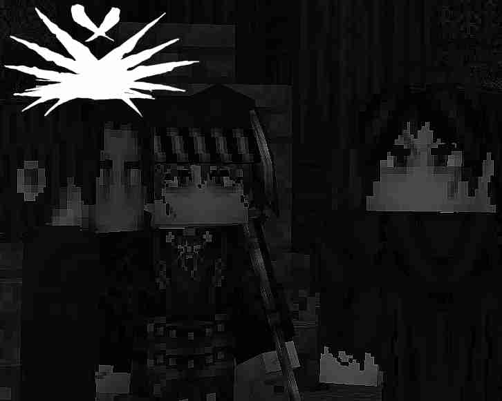 image__16_.jpg