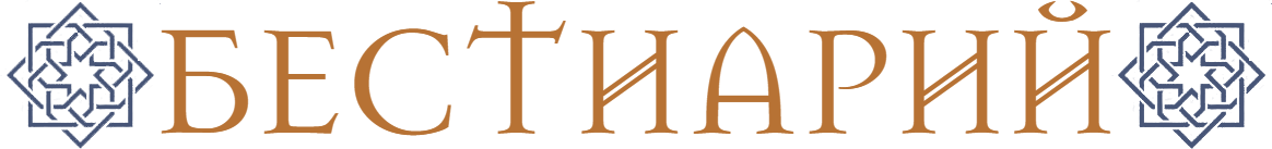 image__29_.png