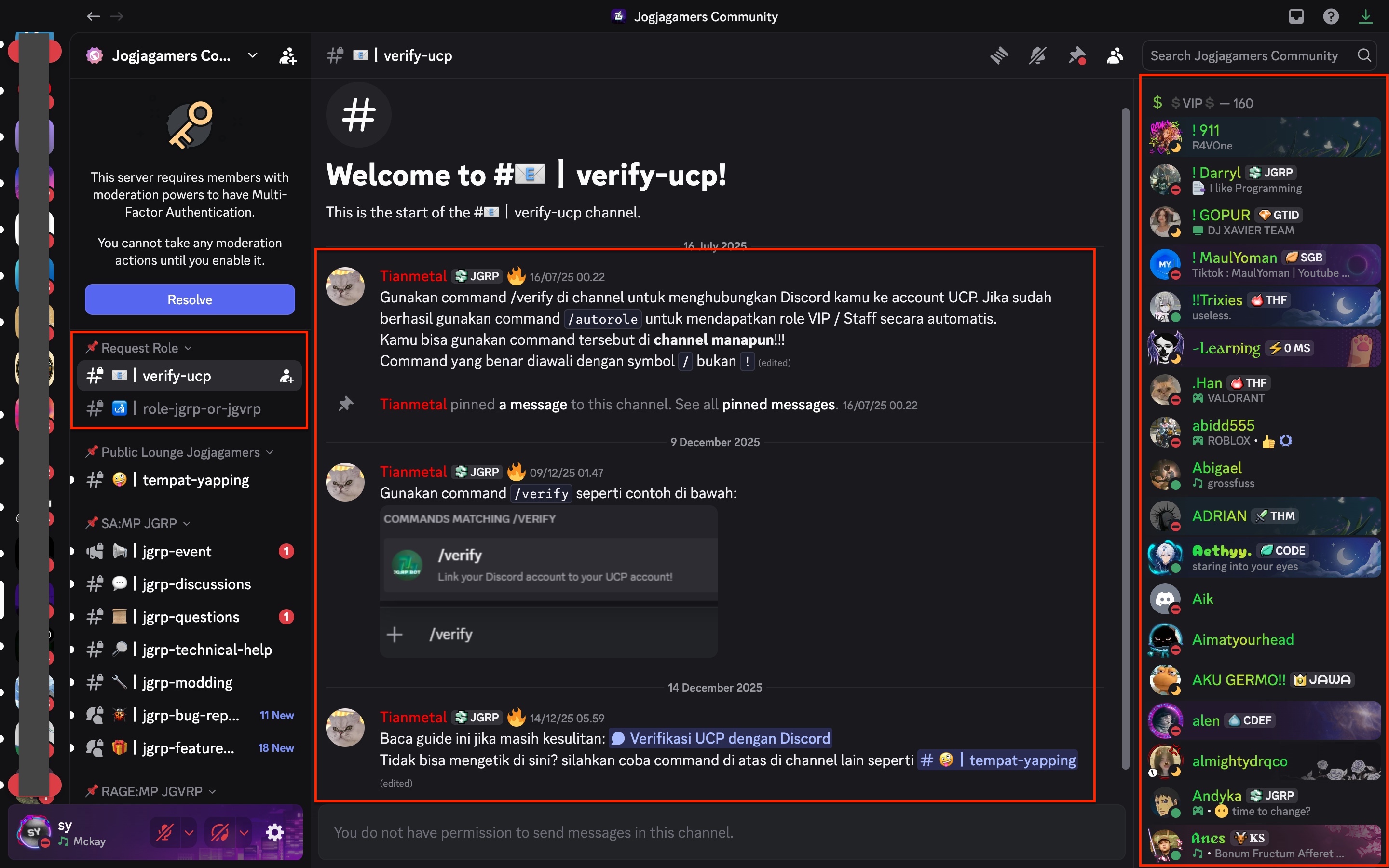 VIPDiscord.jpg