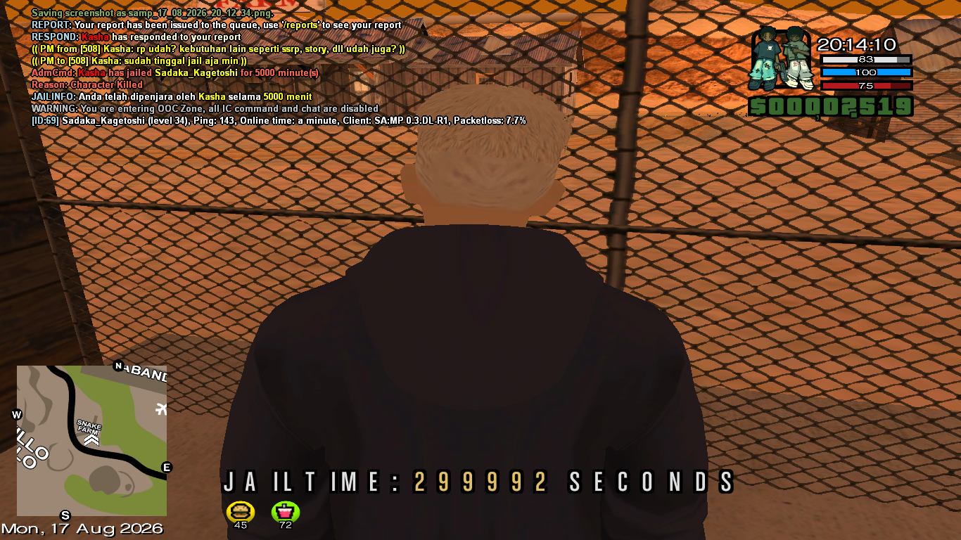 samp_17_08_2026_20_14_12.png