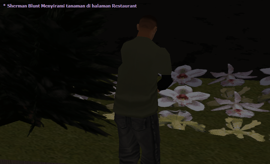 VN_10.png