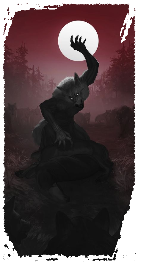 image__16_.png