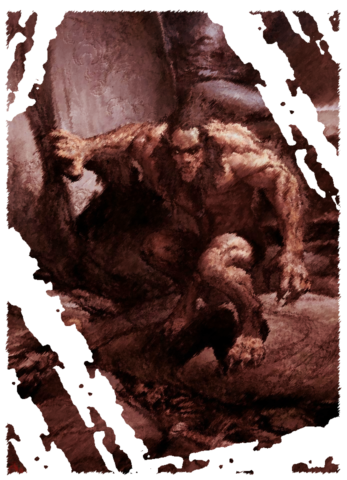 image__17_.png