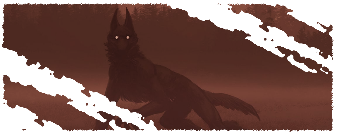 image__18_.png