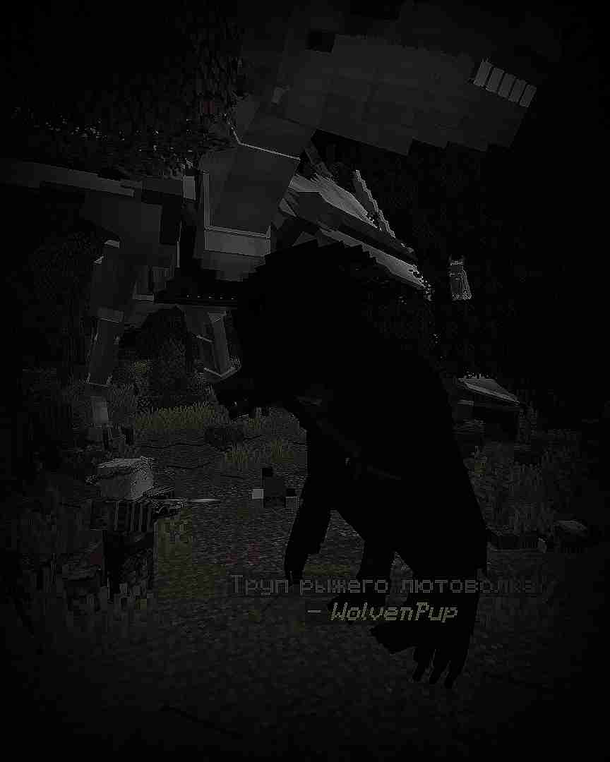 2026-09-22_19.59.23.jpg