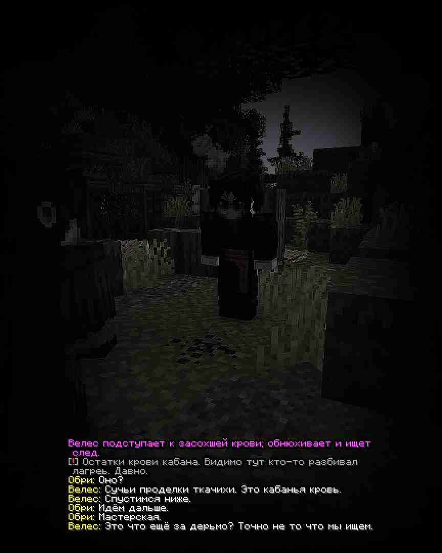 veles7.jpg
