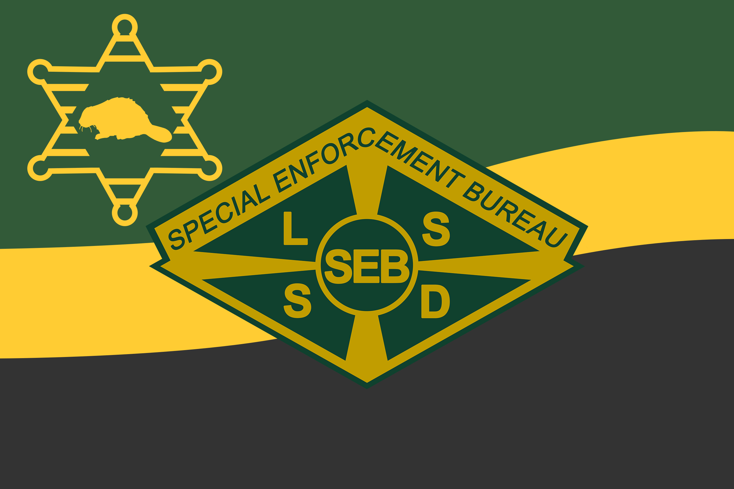 LSSD_SEB.png