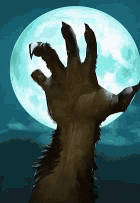 9781fb477eb13d0d0aa50fc1d07955ed.gif