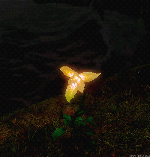 356e83b5eeba444219a671c4979b406c.gif