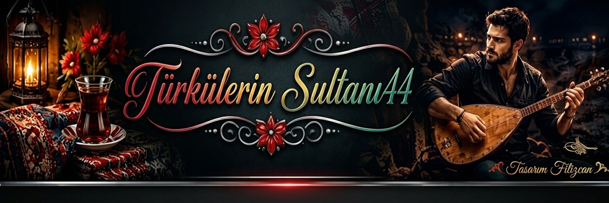 Türkülerin Sultanı Fm 2. Banner