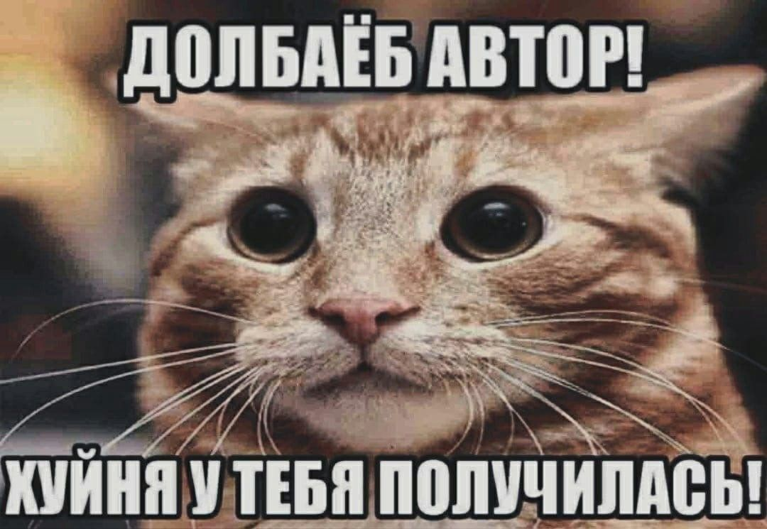 f77675aee808e0d385a3b7cca6b9628f.png