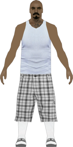 plaidshorts1.png